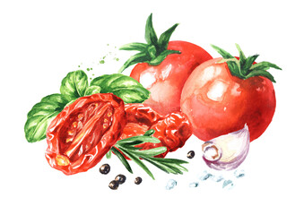 Dried and fresh tomatoes with herbs and spices. Hand drawn watercolor illustration, isolated on white background
