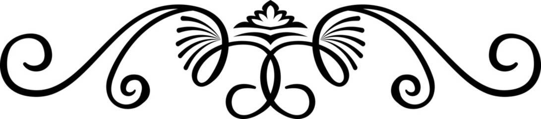 Abstract calligraphic ornate design element. Vintage ornamental pattern. Luxury, elegant flourish line art  design	