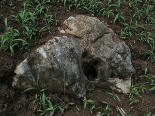 Obraz premium Chiang Dao Northern Thailand