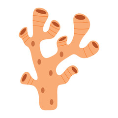 Obraz premium Coral Vector Illustration