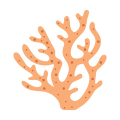 Coral Vector Illustration