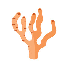 Coral Vector Illustration