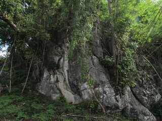 Chiang Dao Northern Thailand