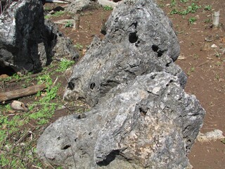 Chiang Dao Northern Thailand