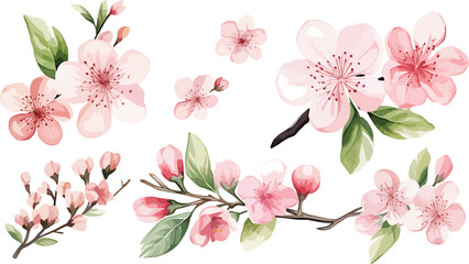 Set of Watercolor pink cherry blossoms blooming elements. Pink cherry green leaves branch, and stem isolated on light background. Suitable for decorative invitations, posters, or cards