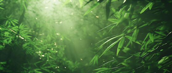 Sunlight filters through dense green bamboo leaves creating a tranquil, verdant scene.
