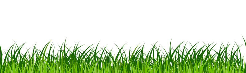 Realistic green grass border, field, lawn, meadow landscape banner isolated on transparent background. Vector seamless Easter Pattern 