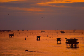 Fototapeta na wymiar Silhouette, Long shot of Oyster farm in the open sea at the amazing sunset.