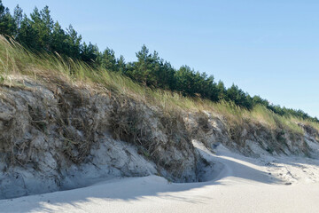 Fototapeta na wymiar Sand dunes on beach at Choczewo, Poland