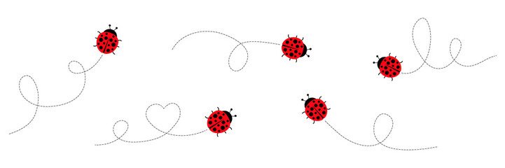 Ladybugs set. Ladybugs flying on dotted route. Vector isolated on white background.