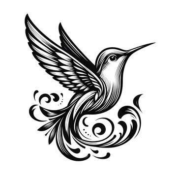 hummingbird vecor style PNG image with abstract line and color