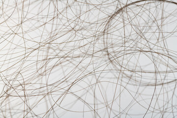 Macro close up of isolated gray and brown human hair strand follicles texture overlay
 