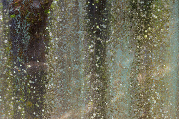 Concrete wall with spots of mildew and streaks of water in different shades of green, blue and gray