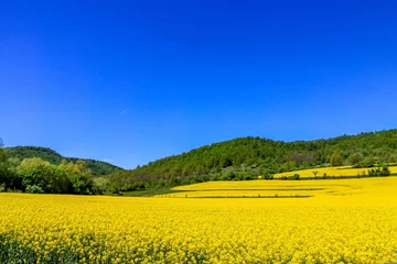 Keuken spatwand met foto landscape with yellow flowers © NGUYENVAN