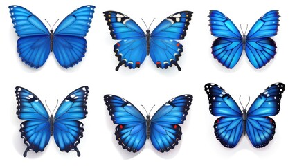 set of butterflies blue butterfly 
