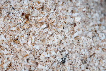 Wood shavings left after sawing firewood.