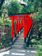 Torii
