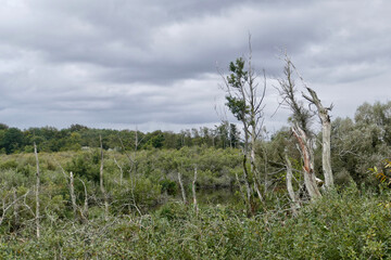 Landscape at Ekopark in Kolobrzeg, Poland