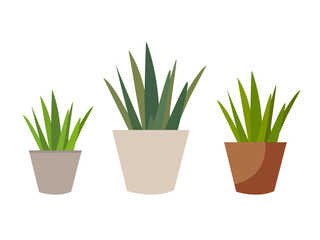 Plant Vector Illustration. Collection of trendy potted plants vector. Colored vector illustration. Isolated on white background. Urban jungle, trendy home decor with plants, tropical leaves in pots.