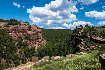 Red stone in the Barranco del Cabrerizo ravine, Protected Landscape of Pinares del Rodeno, Albarracín.