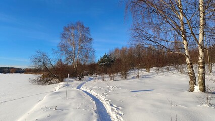 In winter, the lake is covered with ice, and there is snow on top. On the shore there are pine trees, birches and willows and a path in snow drifts. Footprints in the snow. Sunny and cool winter