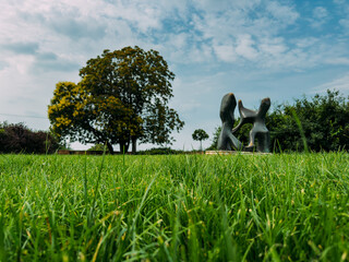 Green lawn with a view of a tree and a manument on a sunny day