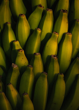 Pl&aacute;tano, banana, cambur...