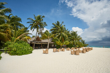 Palmen Insel Malediven Kuramathi..Foto: Thomas Wieck