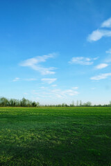 Big Field Of Green Grass With Cloudy Blue Sky