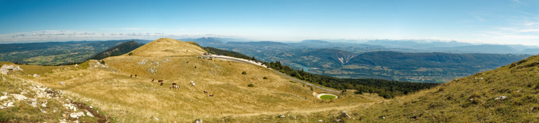 Panorama from Grand Colombier summit (France) on a clear summer day, looking northward towards peak and cow pasture