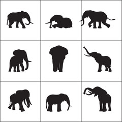 set of animals silhouettes Elephant collection