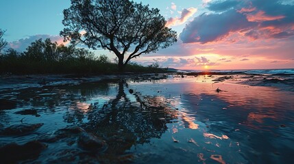 a green tree on a beach at sunset, in the style of light purple and dark azure, sparkling water reflections, flickr, dark sky-blue and dark red, landscape, romantic scenery - obrazy, fototapety, plakaty