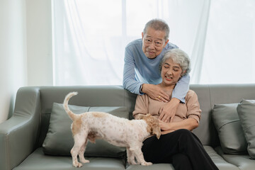 Asian senior couple looking at camera and smiling, senior smiling and looking at tablet Retired people use technology at home Woman hugging man with love Together forever on the sofa at home