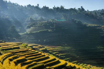 Crédence de cuisine en verre imprimé Mu Cang Chai Rice fields on terraced of Mu Cang Chai, YenBai, Vietnam.