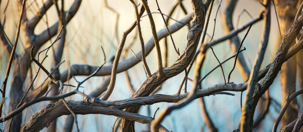 Aufkleber a bird is perched on a branch of a tree, surrounded by artistic branches and tree trunks creating an