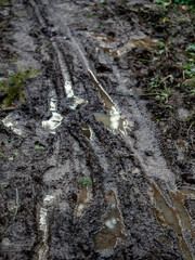 Schlammiger Waldweg