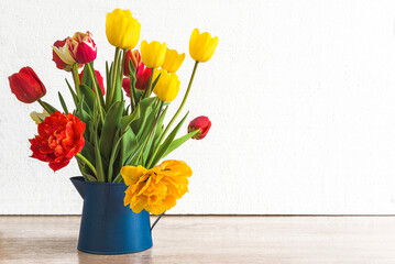 Bunch of multicolored tulips in blule vase on a white background; copy space; Spring greeting card template
