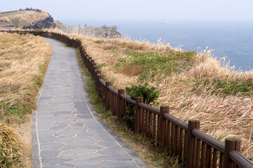 Fototapeta na wymiar View of the footpath with the swaying reeds in the seaside cliff