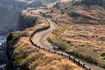 View of the footpath with the swaying reeds in the seaside cliff