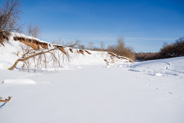 A freezing snowy landscape with a tree branch in the foreground