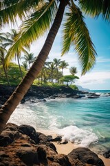 Scenic view of palm trees on a sandy beach with crystal clear water, perfect for travel brochures and vacation websites