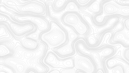 Background of the topographic map. Topographic map lines, contour background. Geographic abstract grid. Topography and geography map grid abstract backdrop. Business concept. Vector illustration
