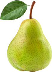 Ripe raw realistic green pear whole fruit. Isolated 3d vector pear with leaf, its smooth skin glows with verdant hues. Succulent fruit promises a burst of sweet juiciness with each refreshing bite