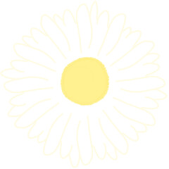 Daisy flower element 