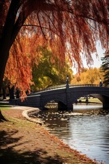 A serene bridge over a body of water, perfect for nature and landscape concepts