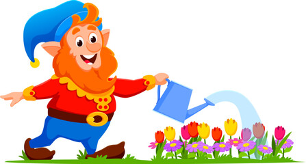 Cartoon gnome or dwarf gardener character, adorned in vibrant attire and a pointy hat, cheerfully tends to blooming flowers. Isolated vector personage carefully watering blooms with a contented smile