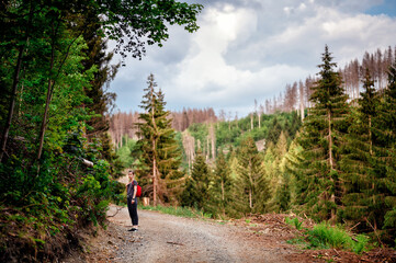 A young adult pausing on a gravel path in a dense forest, backpack on and gazing into the distance, capturing the essence of adventure and the great outdoors