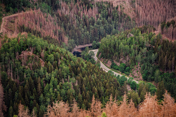 A bird's-eye view of a winding road cutting through a dense forest of green and brown trees,...