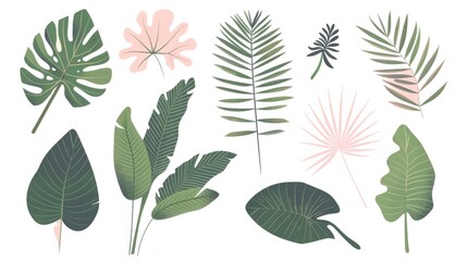 A collection of vibrant tropical leaves on a clean white background. Perfect for nature or summer-themed designs