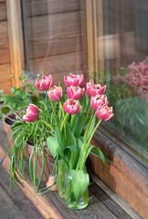 bouquet of tulips in vase and  potted in front of a bay window on wooden terrace